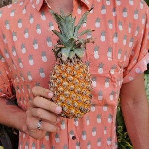 Kenny Flowers Limited Edition Hawaiian Shirt Mens Size XXL Pink Salmon PINEAPPLE